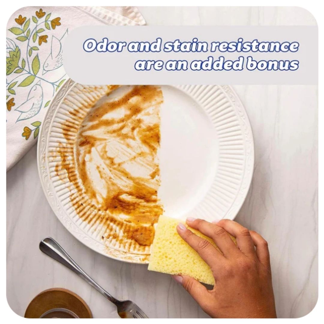 Sponge Daddy Multi 4ct