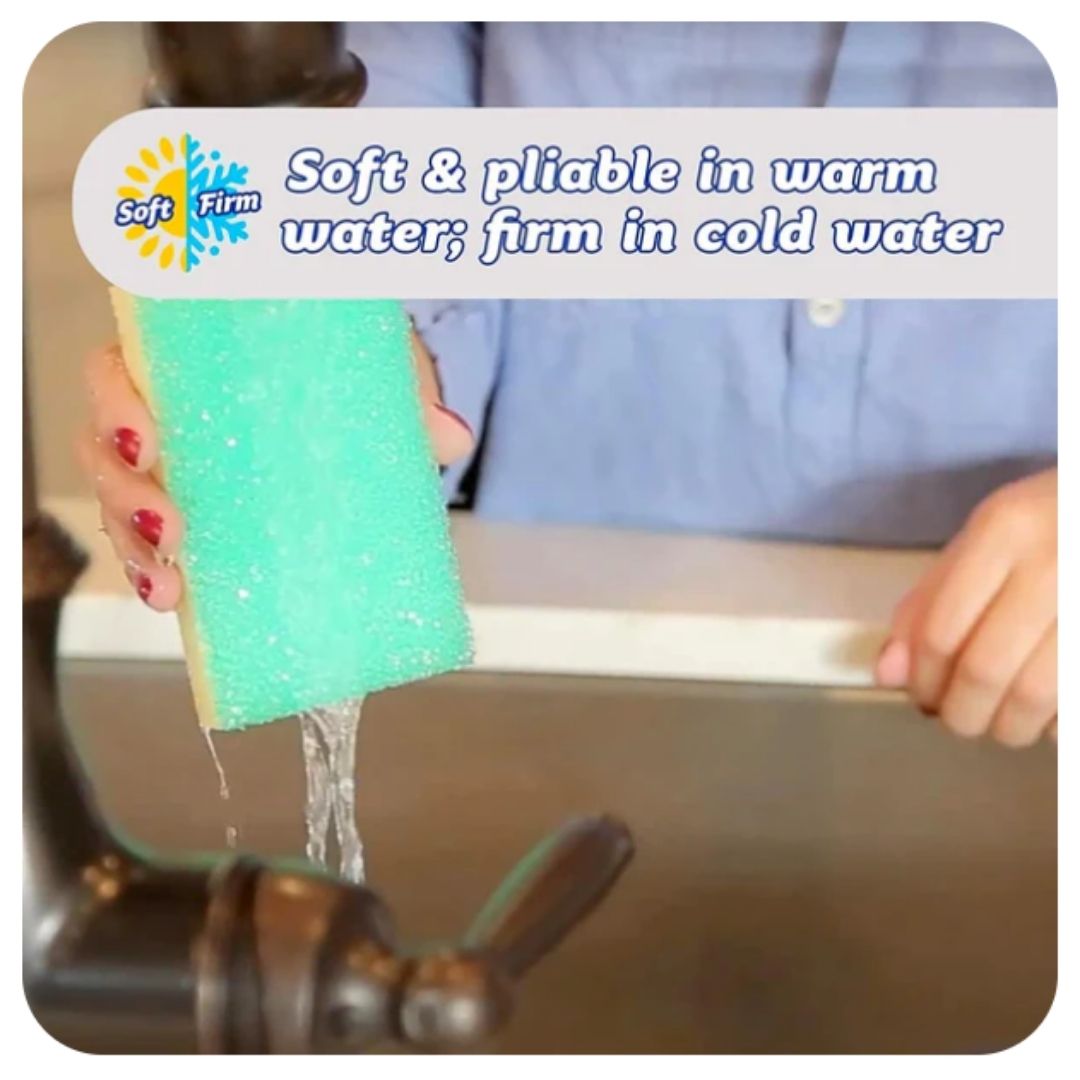 Sponge Daddy Multi 4ct