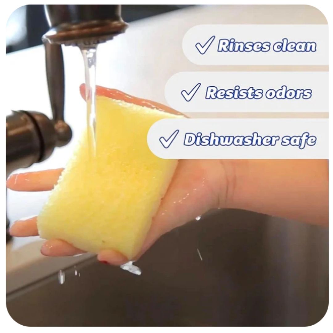 Sponge Daddy Multi 4ct