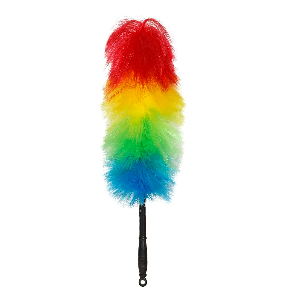 Feather Duster (synthetic)